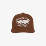 DESIGNED TO PERFORM CAP BROWN